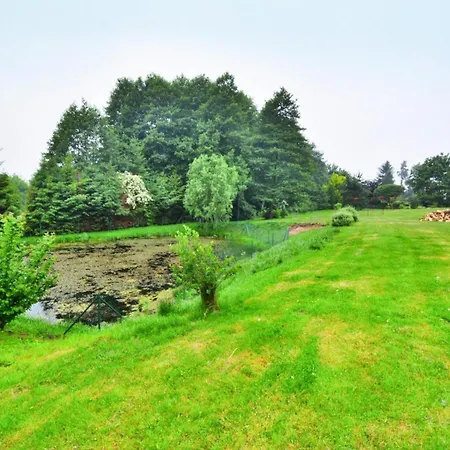 In Wi Cianowo Near Ostrowieckie Lake, Cleaning Included * Zegocino